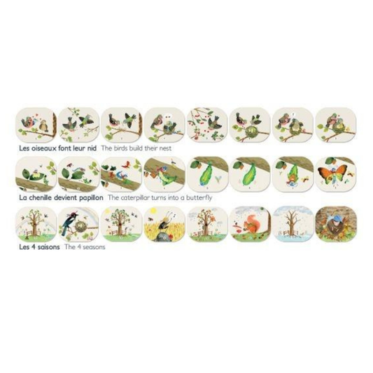 Linterna de Cuentos - Le Jardin du Moulin